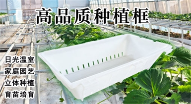 高品質種植框