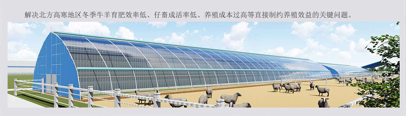 新型冬暖夏涼裝配式畜牧拱形棚舍_06.jpg 新型冬暖夏涼裝配式畜牧拱形棚舍_06.jpg