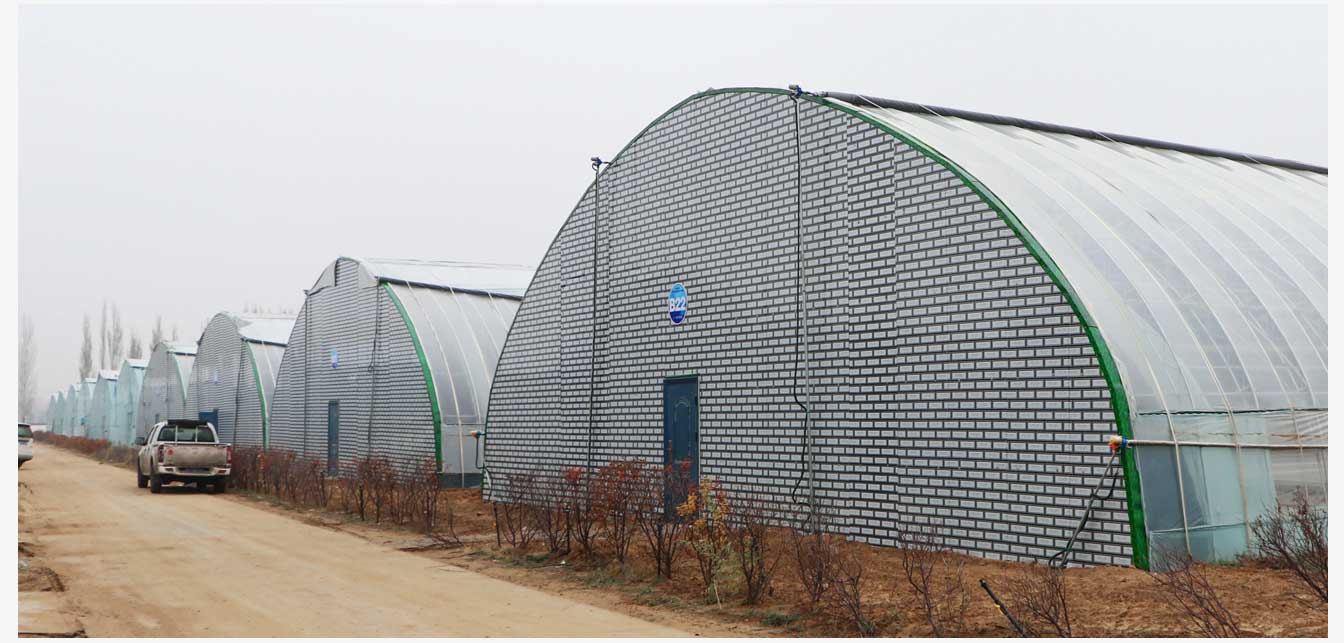 準(zhǔn)格爾旗現(xiàn)代智慧設(shè)施農(nóng)業(yè)產(chǎn)業(yè)園(網(wǎng)頁)_24.jpg 準(zhǔn)格爾旗現(xiàn)代智慧設(shè)施農(nóng)業(yè)產(chǎn)業(yè)園(網(wǎng)頁)_24.jpg
