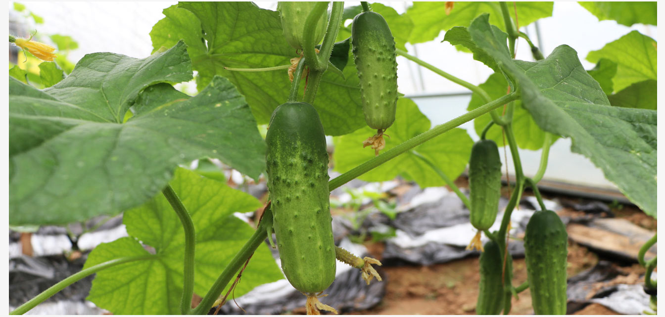 fd3986a86db8cf03af0c7da3a3c38dcf_6386719261847201026326408.jpg fd3986a86db8cf03af0c7da3a3c38dcf_6386719261847201026326408.jpg