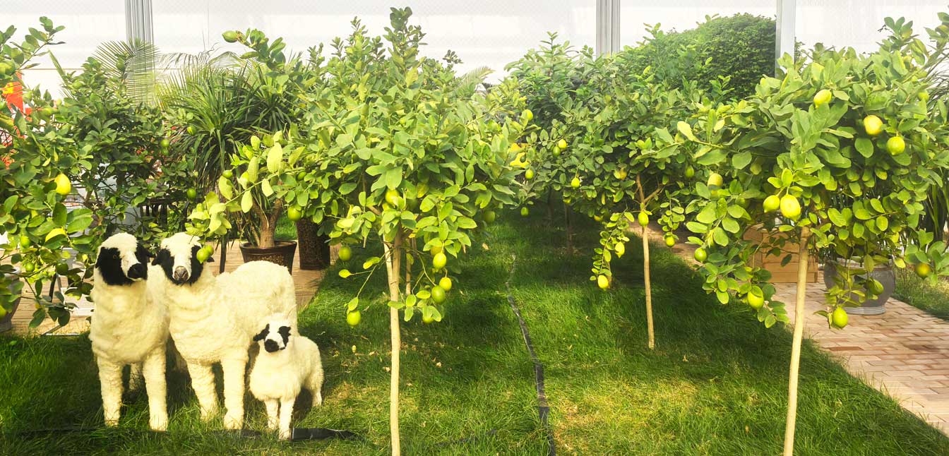 自治區(qū)綠色優(yōu)質(zhì)果蔬展銷中心psd-恢復(fù)的_13.jpg 自治區(qū)綠色優(yōu)質(zhì)果蔬展銷中心psd-恢復(fù)的_13.jpg