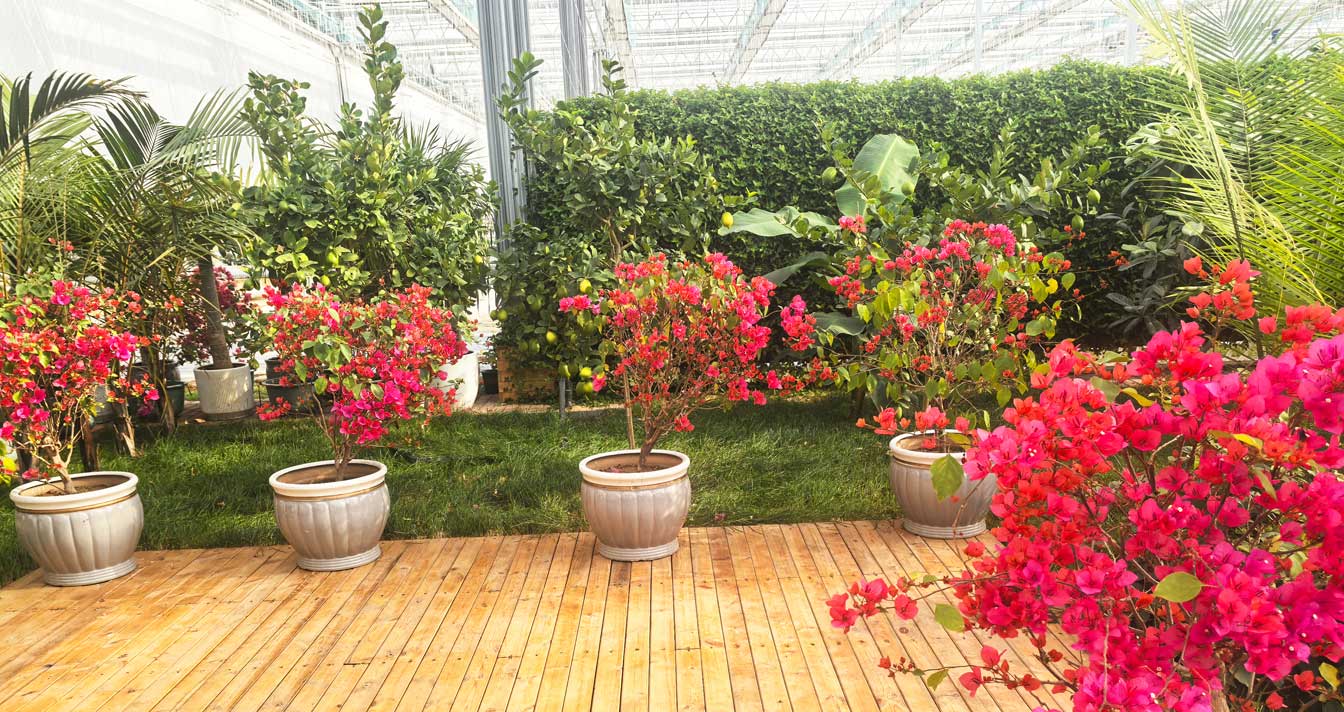 自治區(qū)綠色優(yōu)質(zhì)果蔬展銷中心psd-恢復(fù)的_14.jpg 自治區(qū)綠色優(yōu)質(zhì)果蔬展銷中心psd-恢復(fù)的_14.jpg