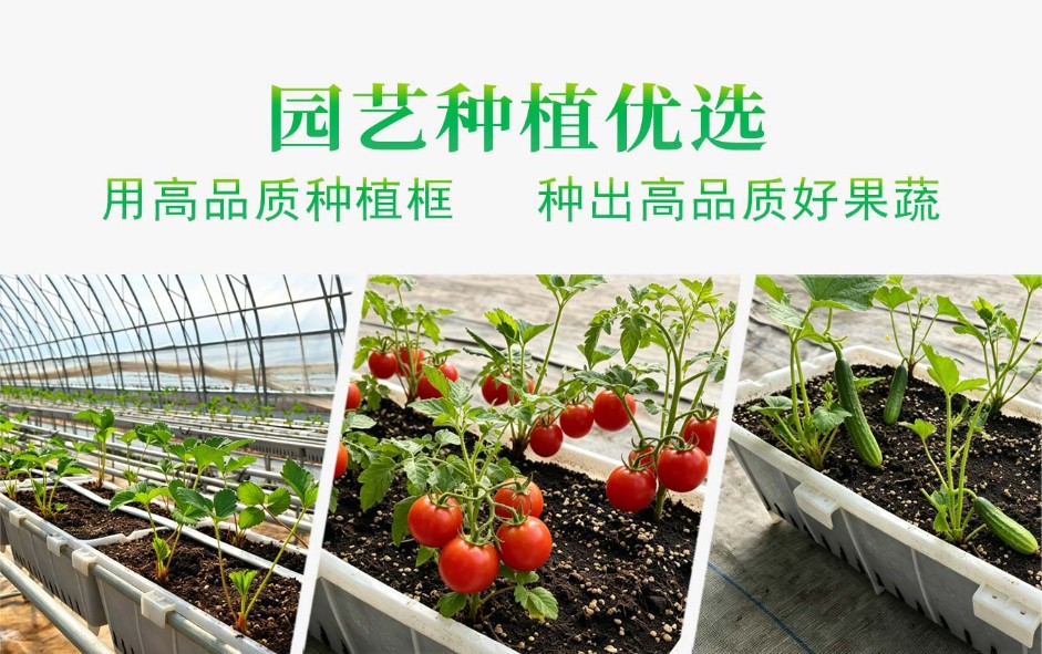 1、高品質(zhì)種植框ps_08.jpg