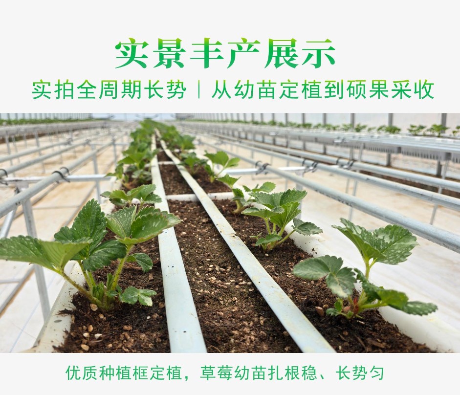 1、高品質(zhì)種植框ps_09.jpg