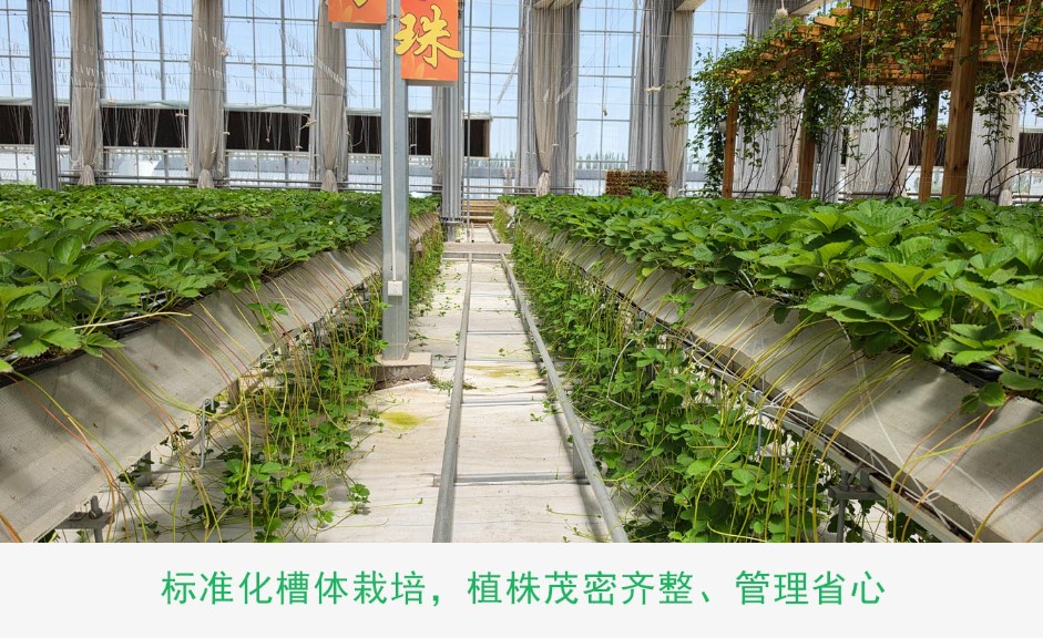 1、高品質(zhì)種植框ps_10.jpg