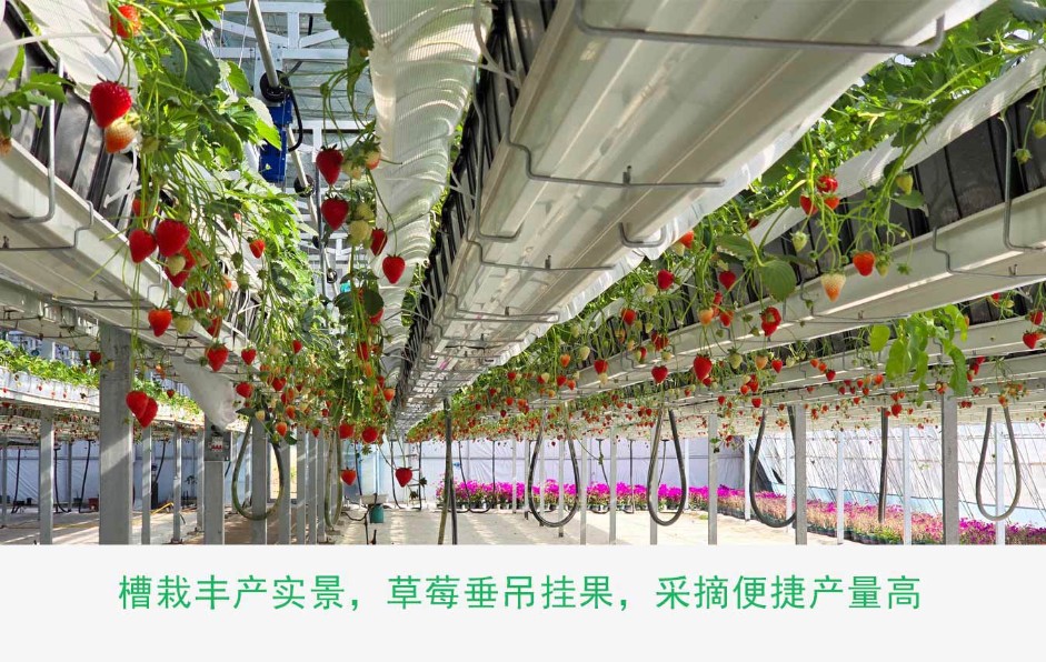 1、高品質(zhì)種植框ps_12.jpg